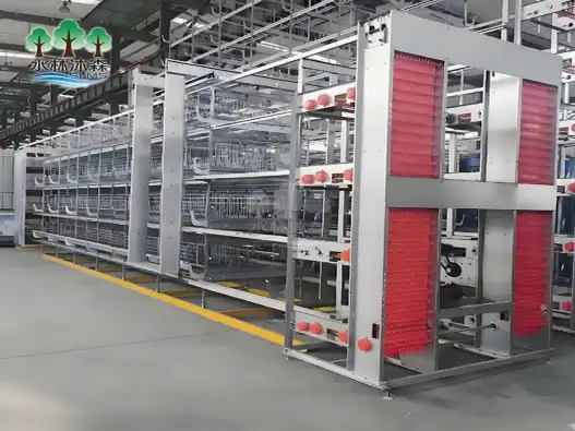 Four-tier layer cages with easy cleaning features